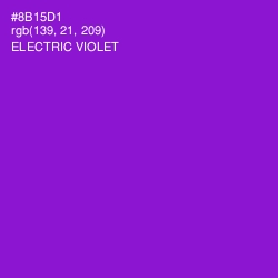 #8B15D1 - Electric Violet Color Image